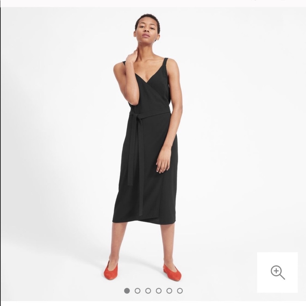 Everlane Japanese go weave wrap dress